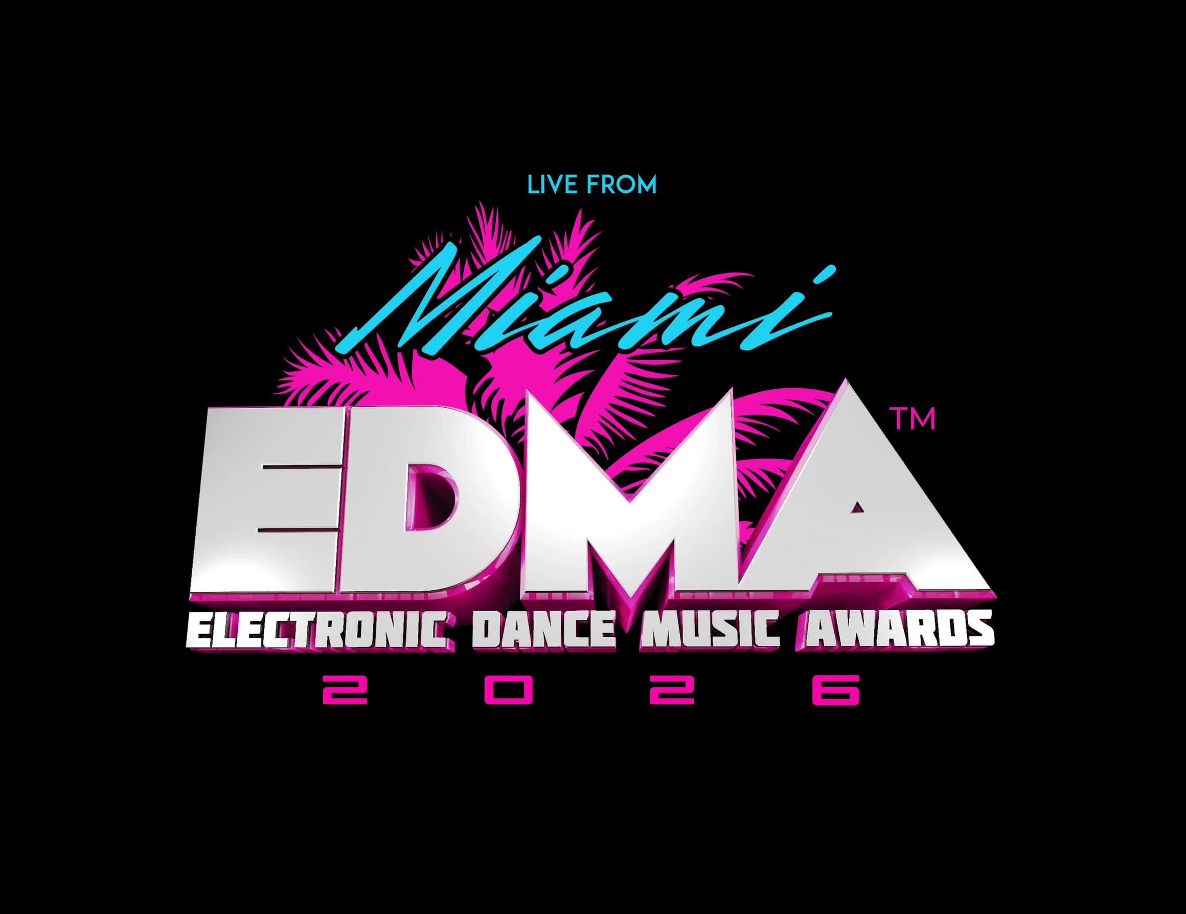 EDM Miami concert atmosphere